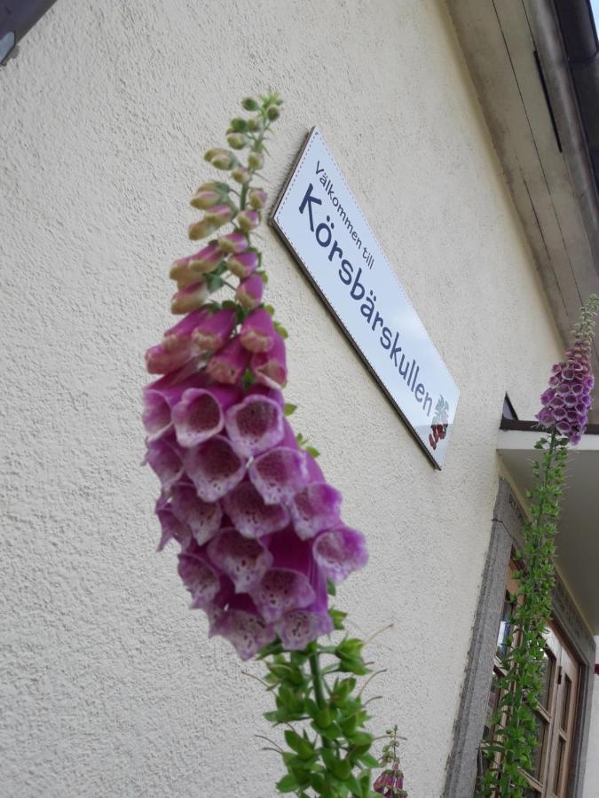 Koersbaerskullen Vandrerhjem Vimmerby Eksteriør bilde